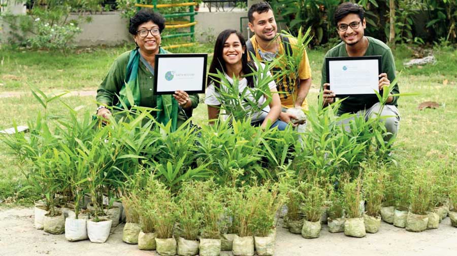 Bamboo garden offers oxygen walkway to visitors