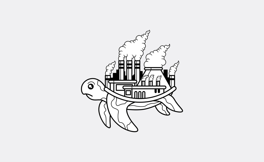 5 Things To Keep In Mind When Starting To Live More Sustainably