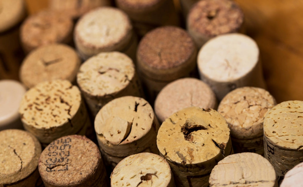 What is Cork Leather? : A Vegan, Sustainable Alternative to Leather