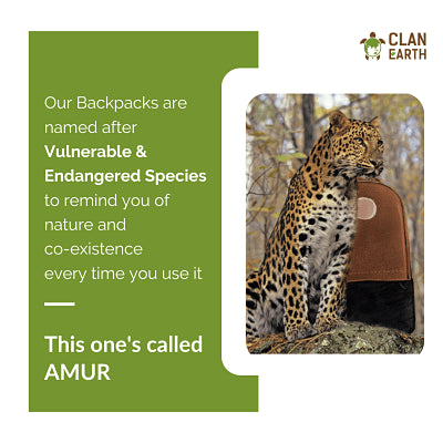 Amur Backpack - Charcoal Black - Daily Carry Office and Travel 15.6 inch Laptop Backpack /Daypack