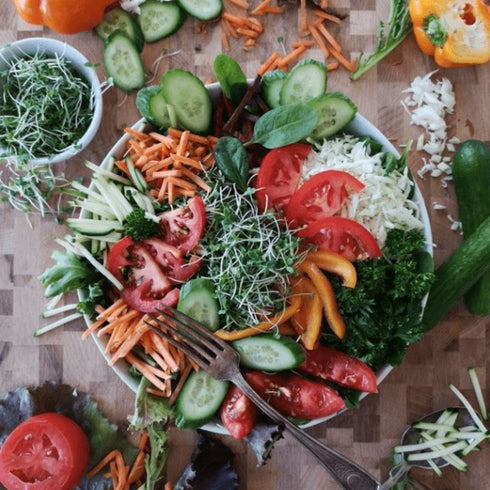 Microgreens Kit - Pack of 4 Seeds