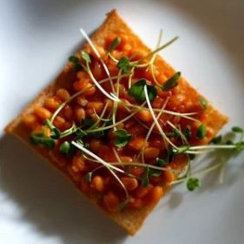 Microgreens Kit - Pack of 2 Seeds