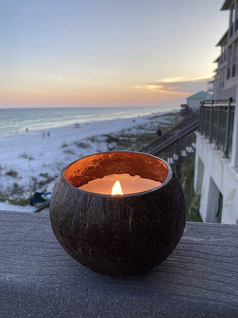 Minimalist Vegan Wallet Festive Gift Box - Dodo Wallet & Soy Wax Coconut Shell Candle