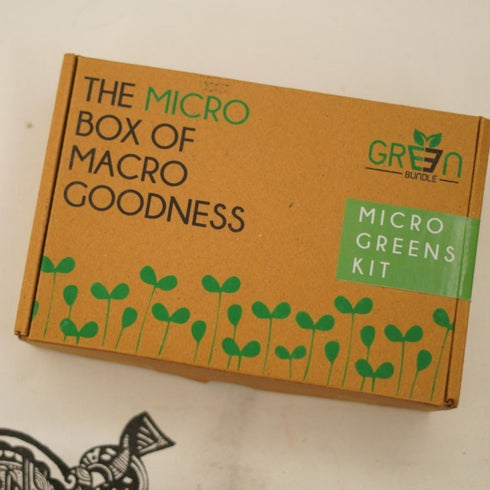 Sustainable Festive Gift Hamper with Microgreens Kit