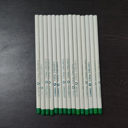 Plantable Recycled Paper Pencil - Pack of 10