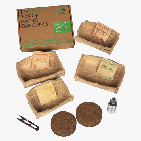 Microgreens Kit - Pack of 4 Seeds