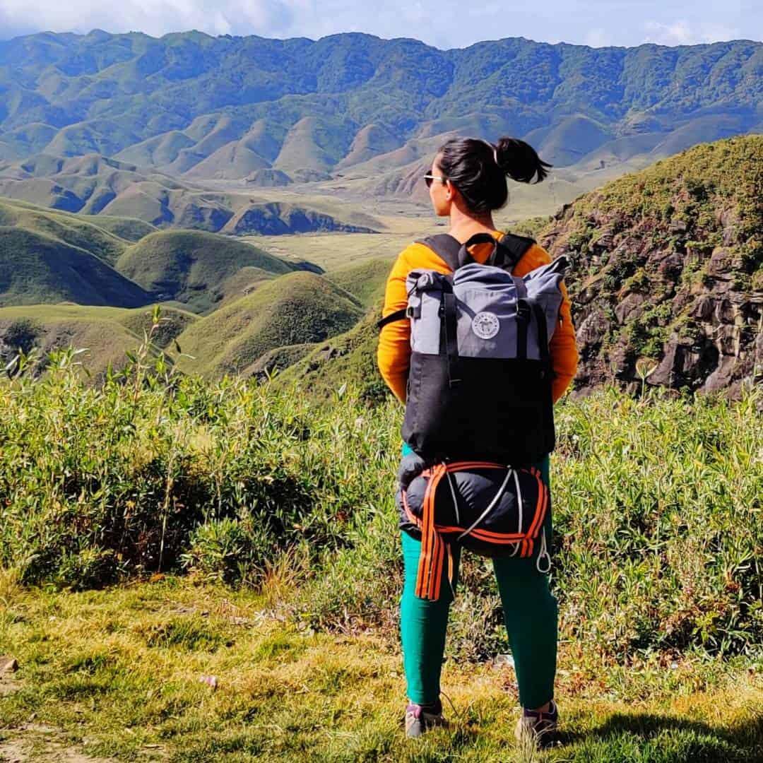 Pangolin Backpack - Water Resistant Canvas Rolltop Travel Eco-Friendly ...